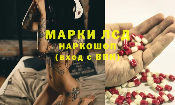 Альфа ПВП Няндома